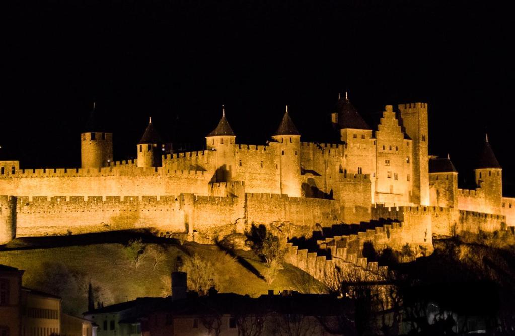 Rooftop Standing Place Carnot Carcassone Exterior photo